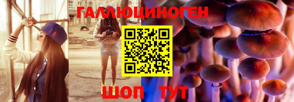 Хасавюрт  Галлюциногенные грибы Psilocybine cubensis  Вход с VPN 